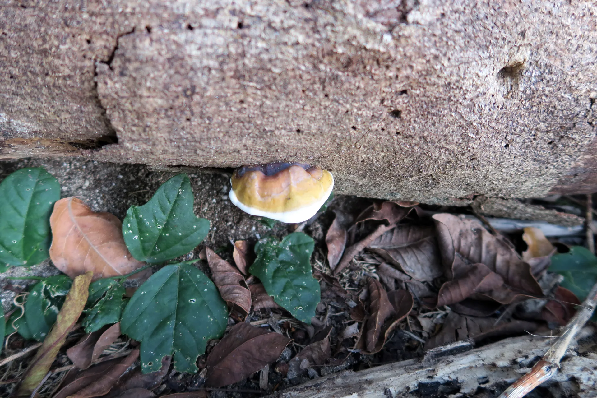 1 -